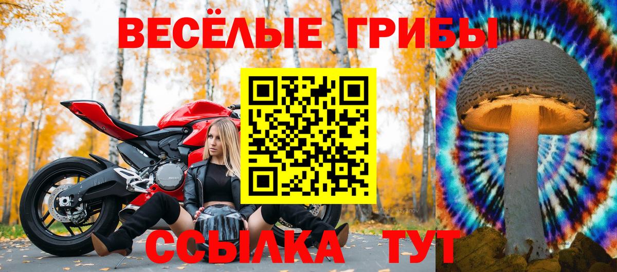 Псилоцибиновые грибы мицелий Великий Устюг