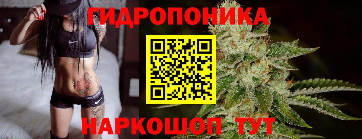 Конопля THC 21%  Вход с VPN  Конопля индика  Великий Устюг  Шишки марихуана AK-47 